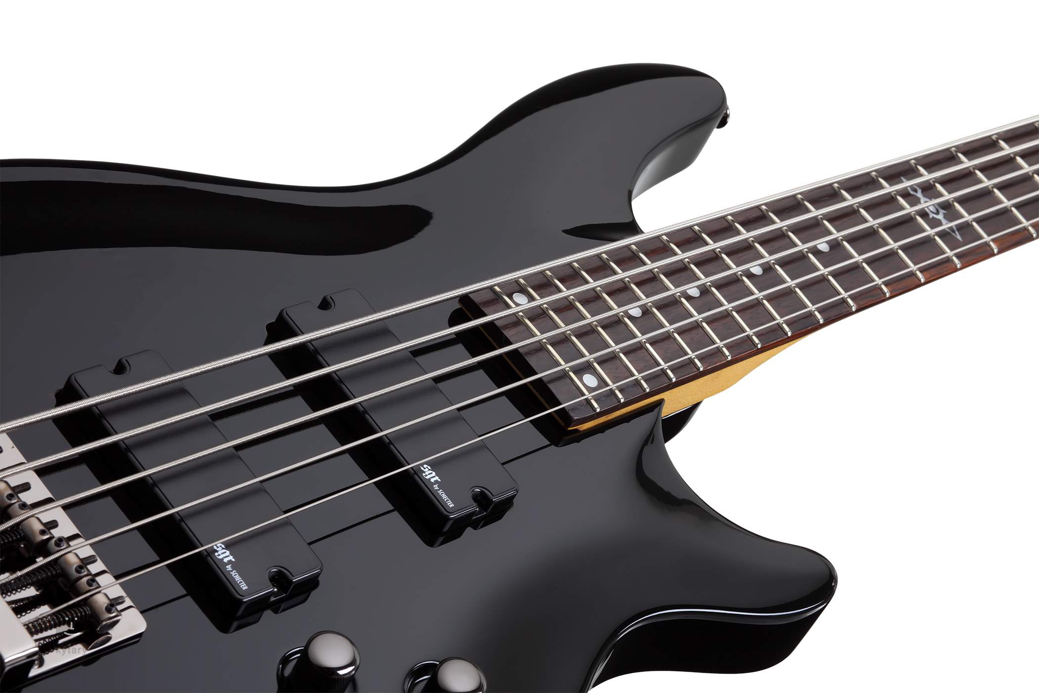 Schecter bass