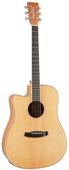 Tanglewood TW10 E LH (abierta)