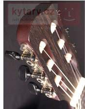 LINE 6 Variax 300 Acoustic Nylon Guitarra eléctrica