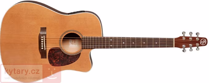 Baton Rouge L6 CE - Guitare électroacoustique