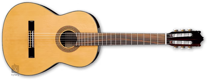 Ibanez G 100 NT (poškozeno) - Guitare classique