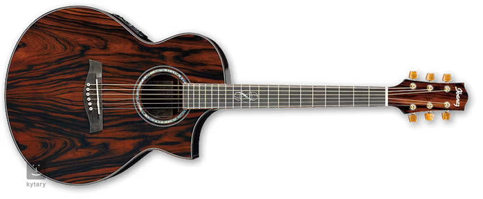 Ibanez EW 50CBE NT - Guitare électroacoustique