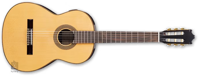 Ibanez G 200E NT - Guitare classique