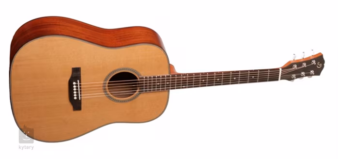Dowina D555 - Guitare acoustique