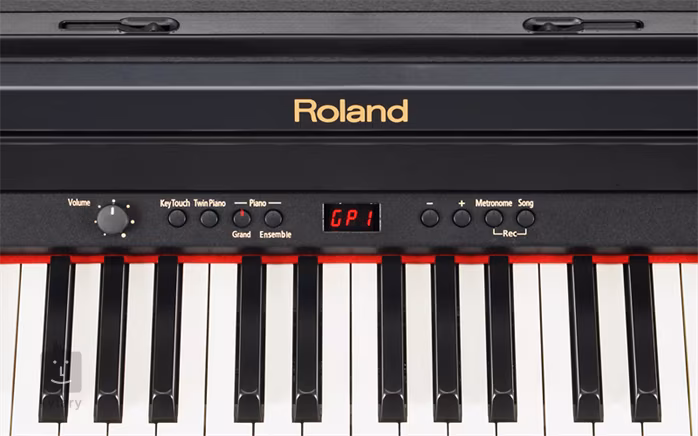 Roland RP-301 SB - 