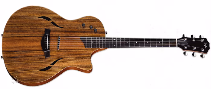 Taylor T5-X - Guitare électroacoustique hybride