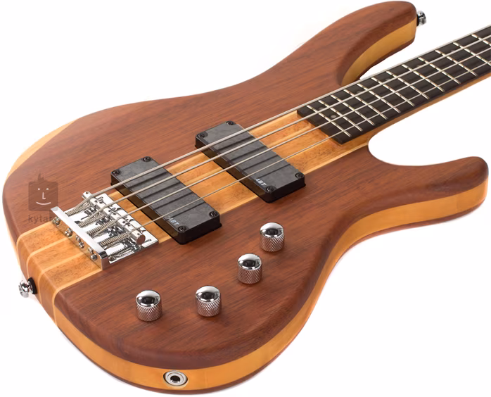 Washburn FORCE4 - Basse électrique