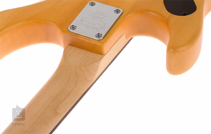 Washburn N2 NM - Guitare électrique