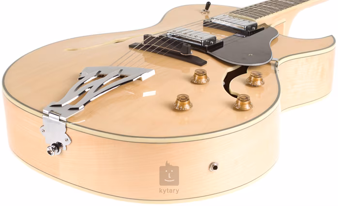 Washburn J3 N - Guitare semi acoustique