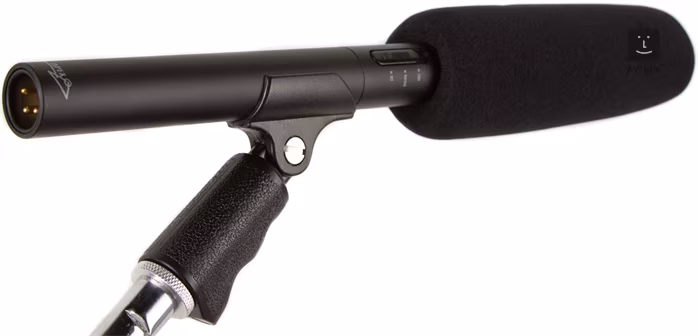 Apex 175 - Microphone ? condensateur