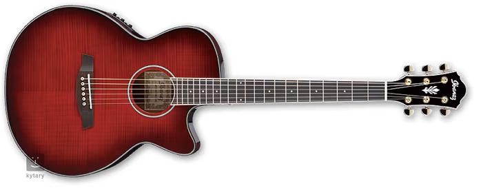 Ibanez AEG 24II THS - Guitare électroacoustique