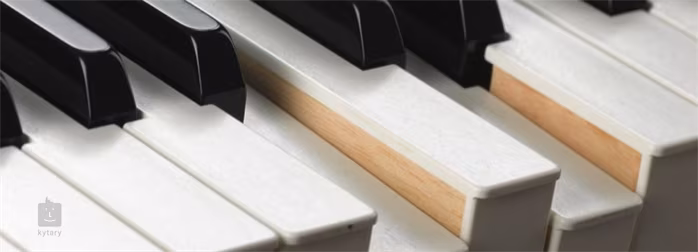 Physis H1 - Piano de scene numérique portable