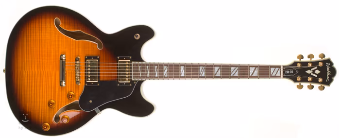 Washburn HB35 TS - Guitare semi acoustique