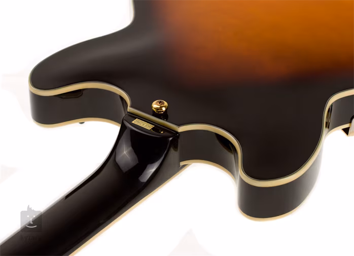 Washburn HB35 TS - Guitare semi acoustique