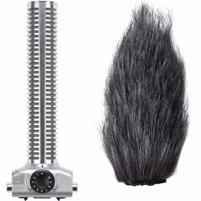 Zoom SGH-6 Shotgun Mic Capsule - Accessoire pour enregistreur