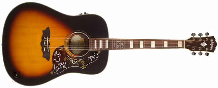 Washburn WD2014LTDE - Guitare électroacoustique