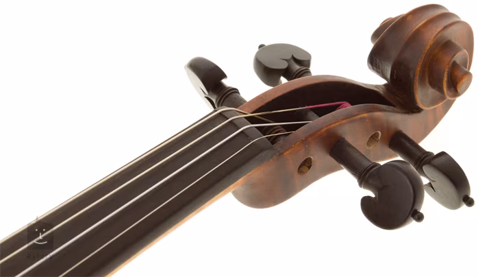 Pierre Marin DV44 - Violon acoustique