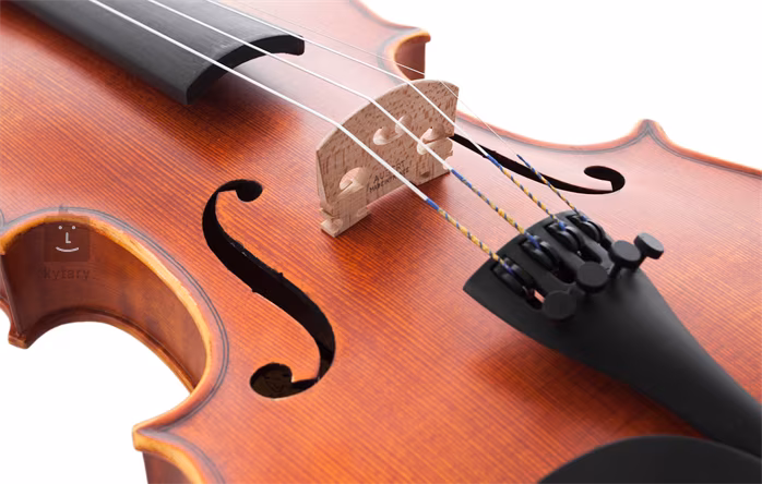 Antoni ASV44 - Violon acoustique