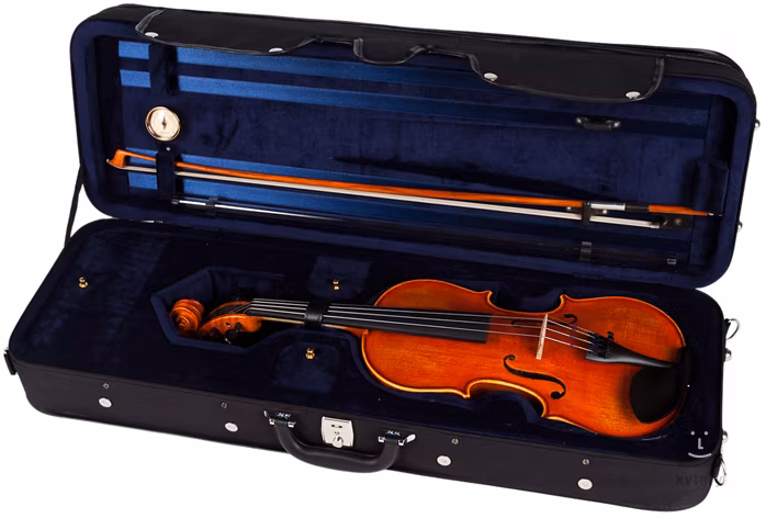 Antoni ASV44 - Violon acoustique