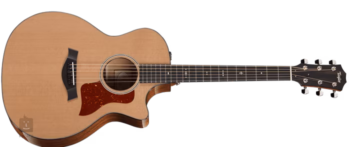 Taylor 514ce - Guitare électroacoustique