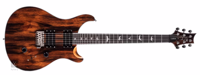 PRS SE Custom 24 Ebony Ltd Edition - Guitare électrique