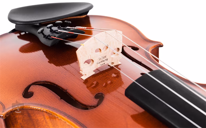 Sandner VIOLIN 606 SIZE 4/4 - Violon acoustique