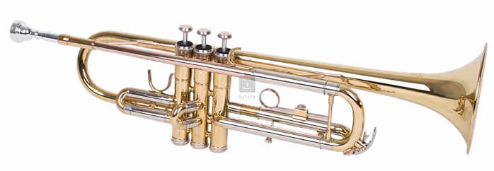 Soundsation STPGD-10 - Trompette