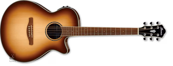 Ibanez AEG10II-NNB - Guitare électroacoustique
