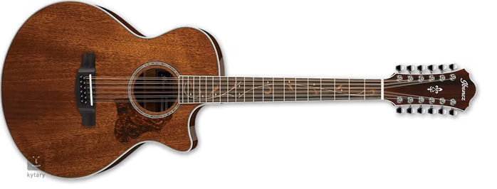 Ibanez AE2412-NT - Guitare électroacoustique a douze cordes