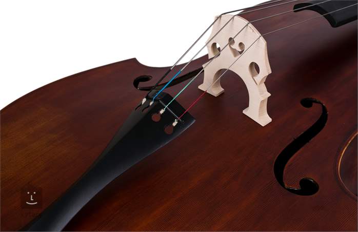 Soundsation P806-34 - Contrebasse acoustique