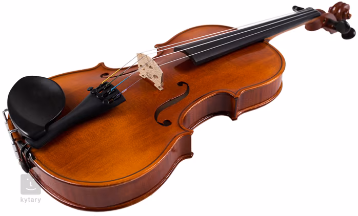 Strunal Schönbach Violin Florence 193wA 4/4 - Violon acoustique