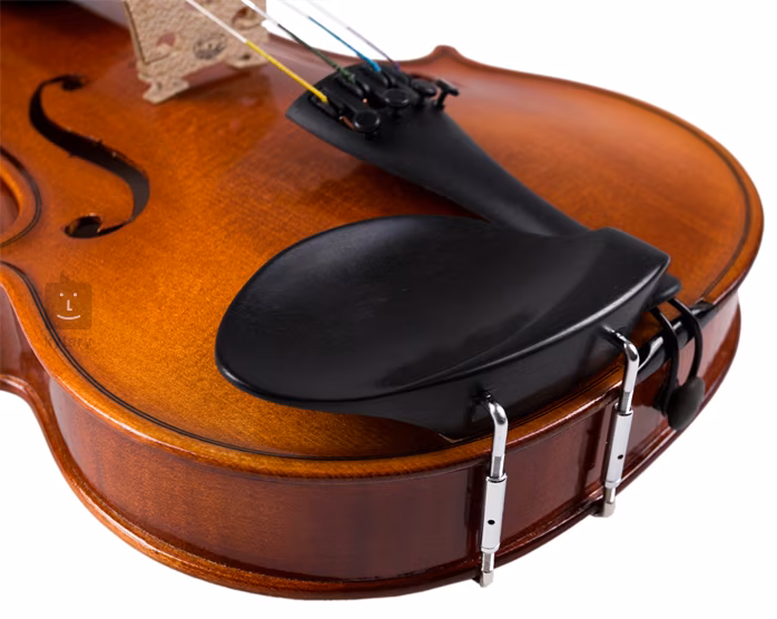 Strunal Schönbach Violin Florence 193wA 4/4 - Violon acoustique