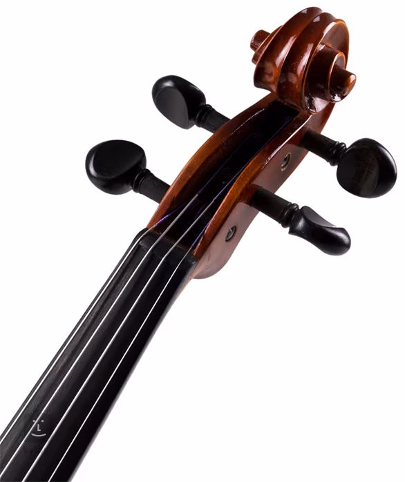Strunal Schönbach Violin Florence 193wA 4/4 - Violon acoustique