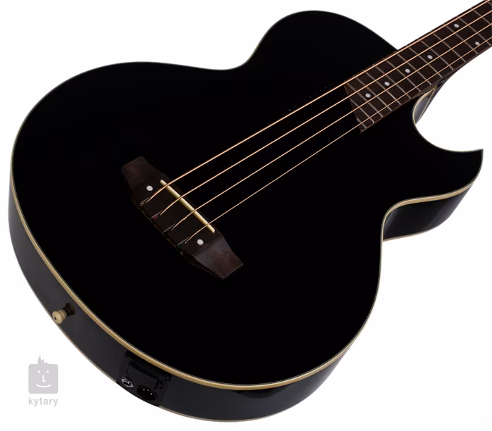 Washburn AB10B - Basse électroacoustique