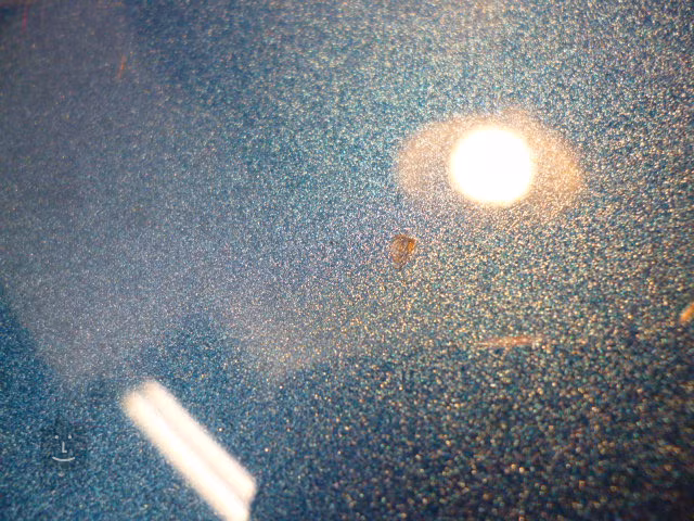 Fender American Original 60s Telecaster RW LPB (utilisé) - Guitare électrique