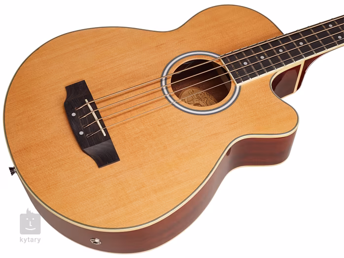 Washburn AB5-A-U - Basse électroacoustique