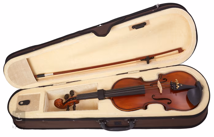 Soundsation VSPVI-12 - Violon acoustique