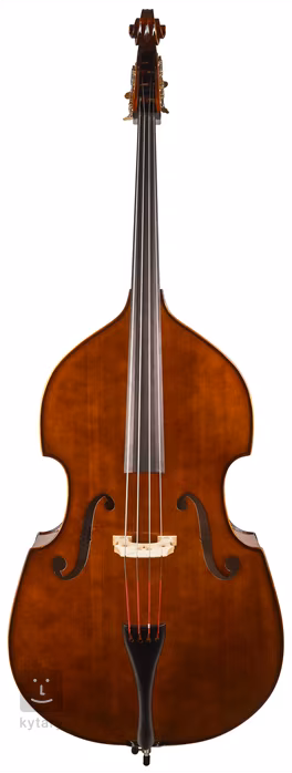 Strunal Schönbach Venezia 5/35we 3/4 - Contrebasse acoustique