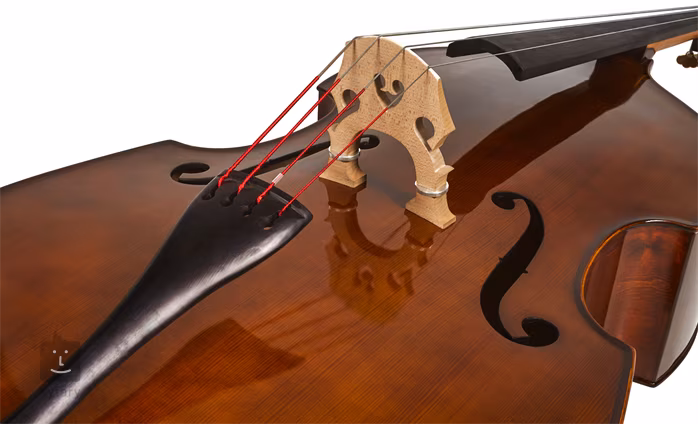 Strunal Schönbach Venezia 5/35we 3/4 - Contrebasse acoustique