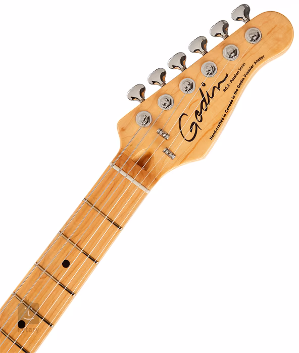 Godin Passion RG-3 Indigo Burst MN - Guitare électrique