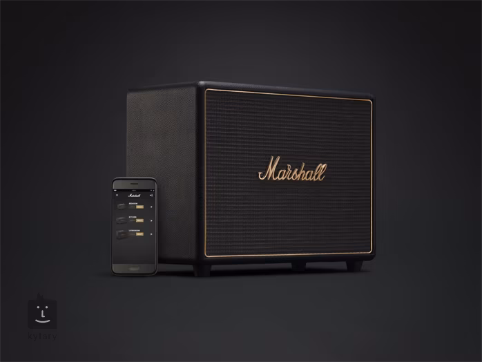 Marshall WOBURN MULTI ROOM BLACK - Audio systeme