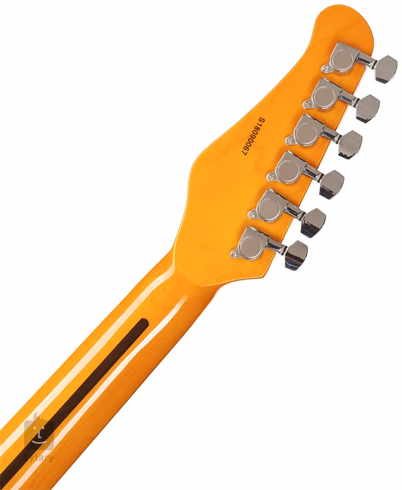 Jay Turser JT-300-DB-A-U - Guitare électrique