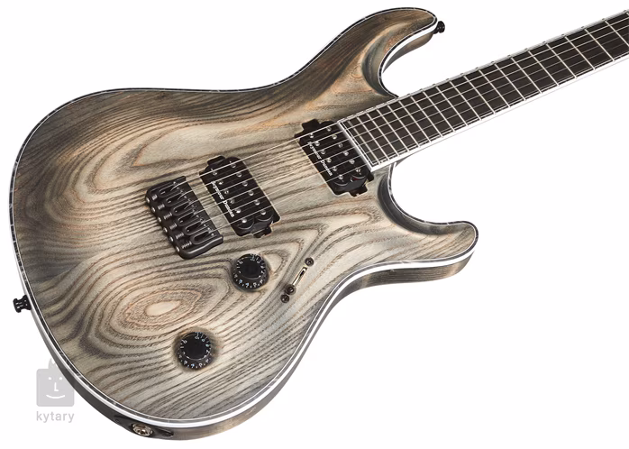 Mayones Regius Core Gothic 6 T-ANTIQUE-BLK-M - Guitare électrique