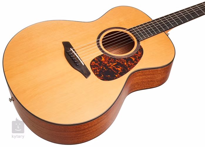 Furch Indigo Deluxe G-CY - Guitare acoustique