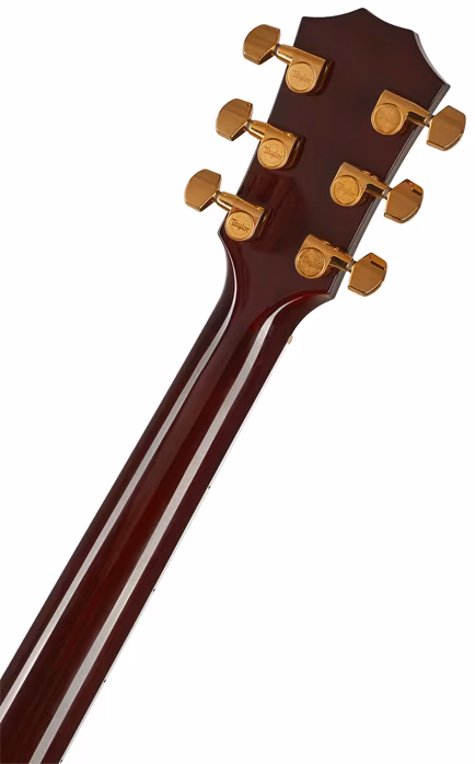 Taylor T5z-CUSTOM - Guitare électroacoustique hybride