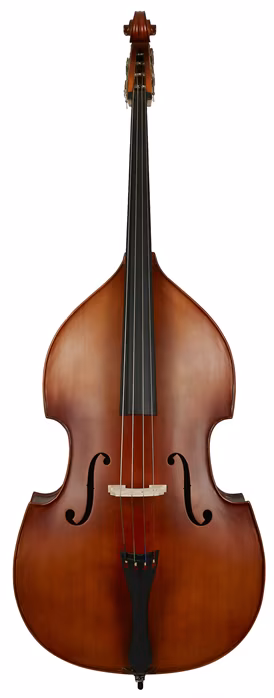 Palatino DB-300 3/4 - Contrebasse acoustique