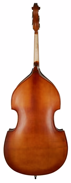 Palatino DB-300 3/4 - Contrebasse acoustique