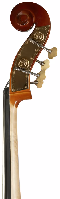 Palatino DB-300 3/4 - Contrebasse acoustique