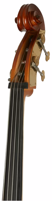 Palatino DB-300 3/4 - Contrebasse acoustique