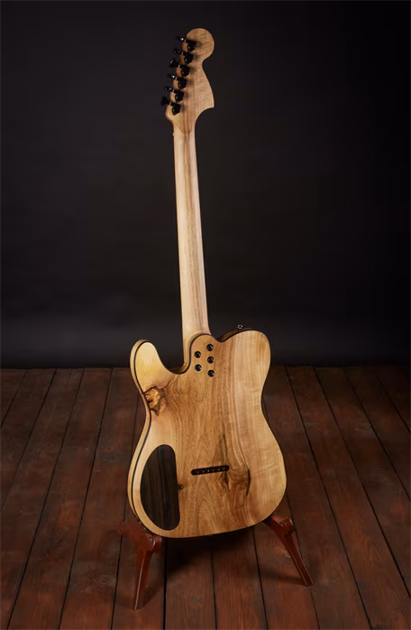 Poul Guitars 2019 Tele - Guitare électrique